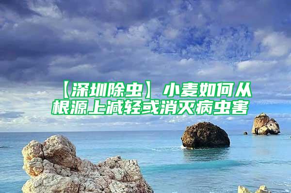 【深圳除虫】小麦如何从根源上减轻或消灭病虫害