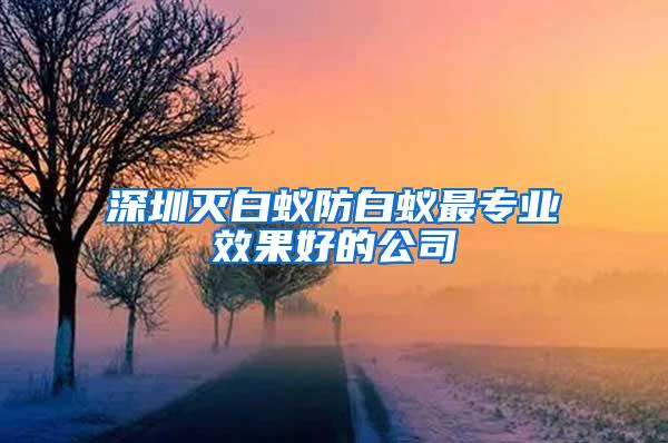 深圳灭白蚁防白蚁最专业效果好的公司