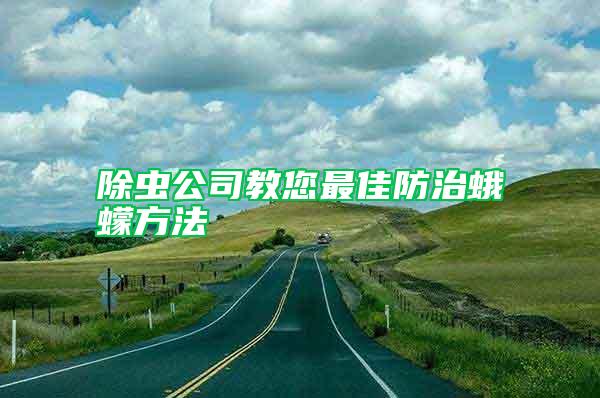 除虫公司教您最佳防治蛾蠓方法