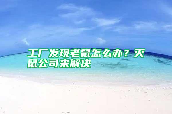 工厂发现老鼠怎么办？灭鼠公司来解决