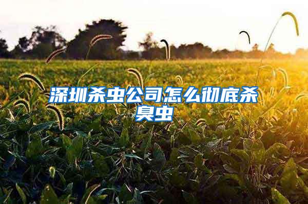 深圳杀虫公司怎么彻底杀臭虫