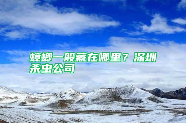 蟑螂一般藏在哪里？深圳杀虫公司