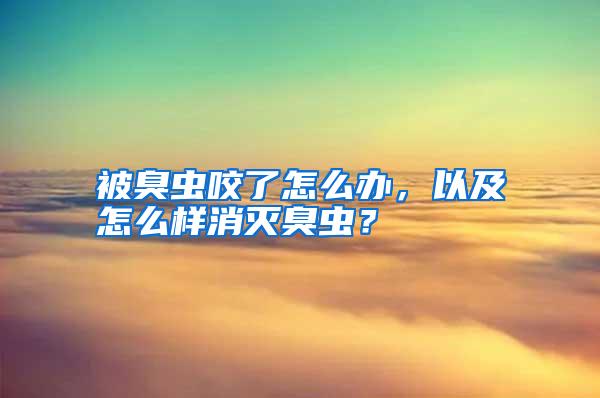 被臭虫咬了怎么办，以及怎么样消灭臭虫？