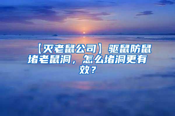 【灭老鼠公司】驱鼠防鼠堵老鼠洞，怎么堵洞更有效？