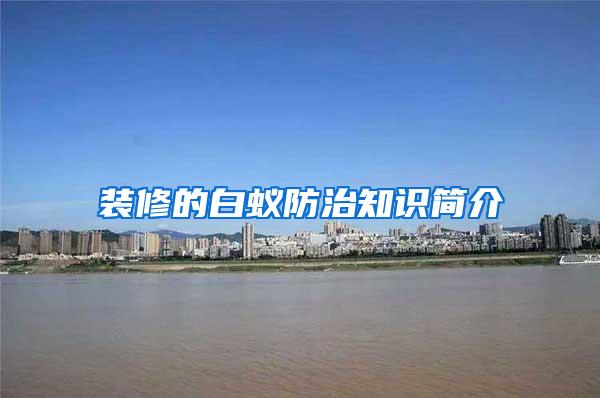 装修的白蚁防治知识简介