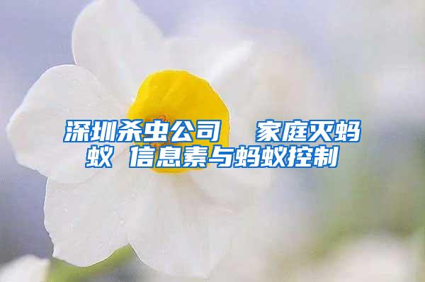 深圳杀虫公司  家庭灭蚂蚁 信息素与蚂蚁控制