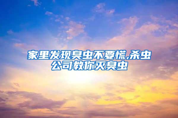 家里发现臭虫不要慌,杀虫公司教你灭臭虫