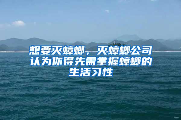 想要灭蟑螂，灭蟑螂公司认为你得先需掌握蟑螂的生活习性