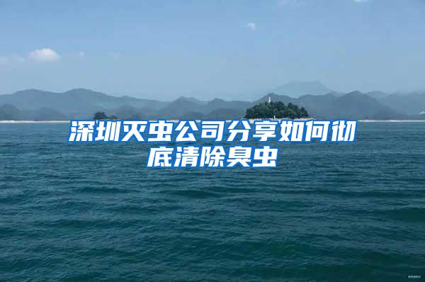 深圳灭虫公司分享如何彻底清除臭虫