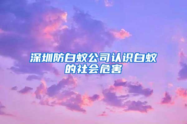 深圳防白蚁公司认识白蚁的社会危害