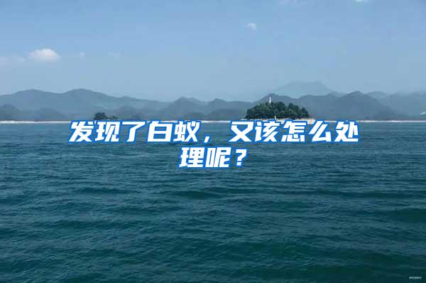 发现了白蚁，又该怎么处理呢？