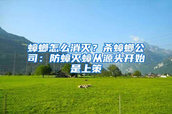 蟑螂怎么消灭？杀蟑螂公司：防蟑灭蟑从源头开始是上策