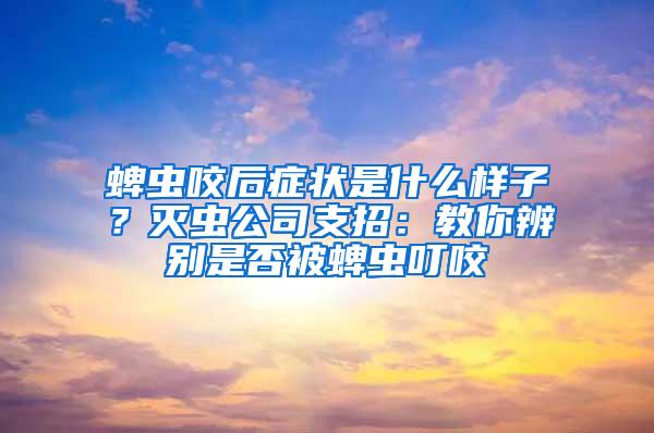 蜱虫咬后症状是什么样子？灭虫公司支招：教你辨别是否被蜱虫叮咬