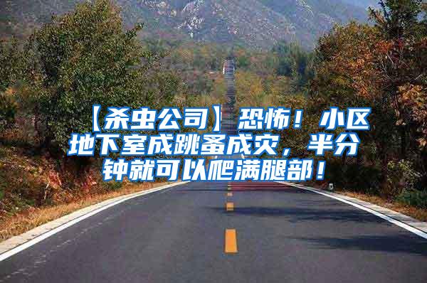【杀虫公司】恐怖！小区地下室成跳蚤成灾，半分钟就可以爬满腿部！