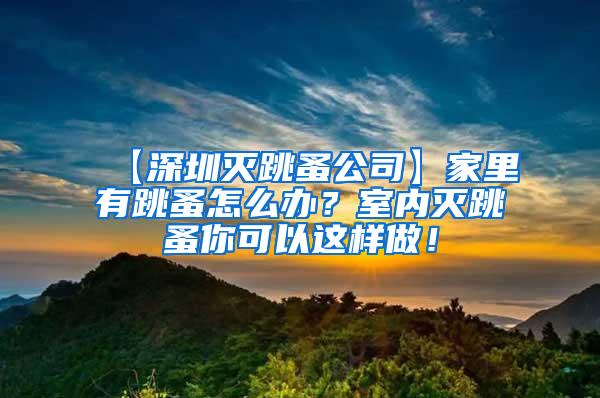 【深圳灭跳蚤公司】家里有跳蚤怎么办？室内灭跳蚤你可以这样做！