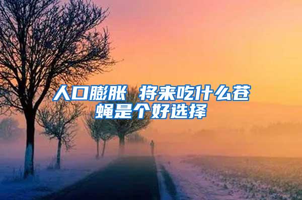 人口膨胀 将来吃什么苍蝇是个好选择