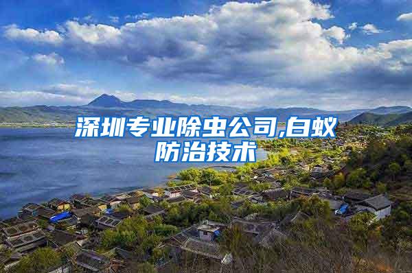 深圳专业除虫公司,白蚁防治技术