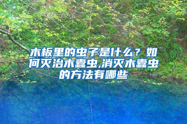 木板里的虫子是什么？如何灭治木蠹虫,消灭木蠹虫的方法有哪些