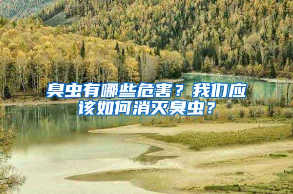 臭虫有哪些危害？我们应该如何消灭臭虫？