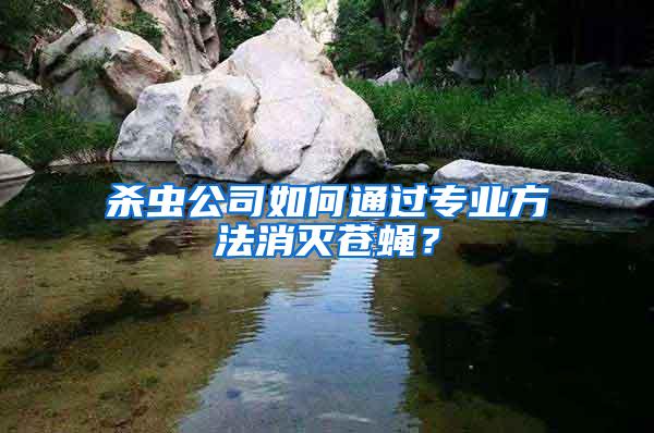 杀虫公司如何通过专业方法消灭苍蝇？