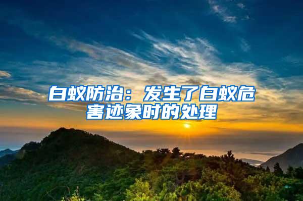 白蚁防治：发生了白蚁危害迹象时的处理