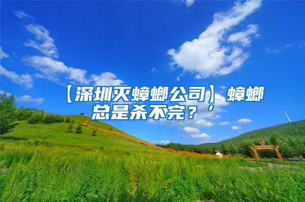 【深圳灭蟑螂公司】蟑螂总是杀不完？’