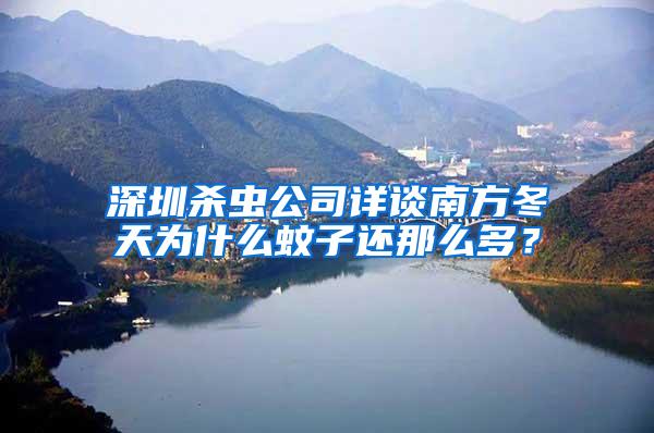 深圳杀虫公司详谈南方冬天为什么蚊子还那么多？