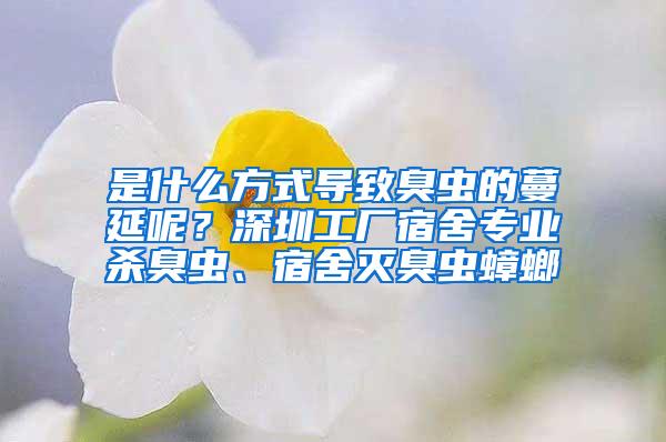 是什么方式导致臭虫的蔓延呢？深圳工厂宿舍专业杀臭虫、宿舍灭臭虫蟑螂