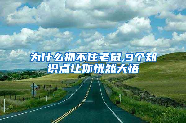 为什么抓不住老鼠,9个知识点让你恍然大悟