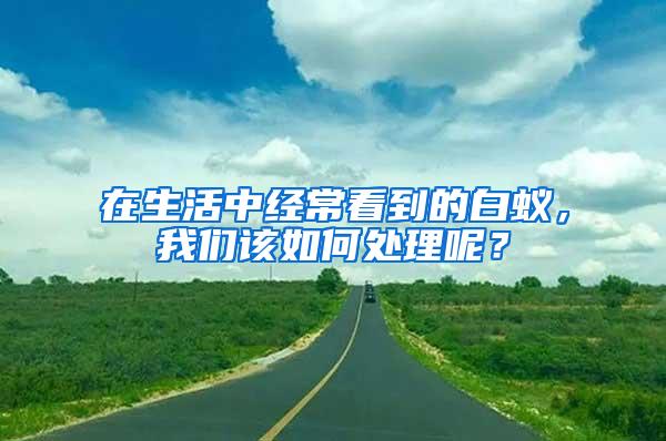 在生活中经常看到的白蚁，我们该如何处理呢？