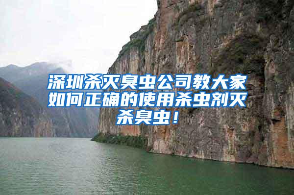 深圳杀灭臭虫公司教大家如何正确的使用杀虫剂灭杀臭虫！