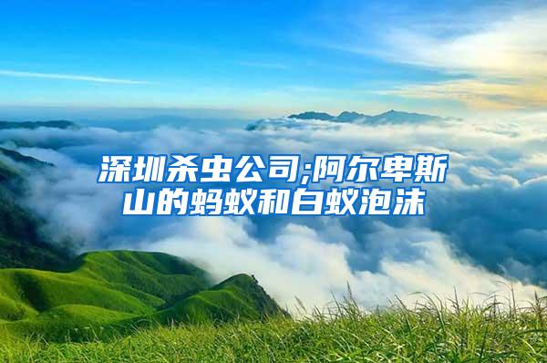 深圳杀虫公司;阿尔卑斯山的蚂蚁和白蚁泡沫