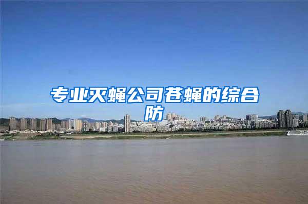 专业灭蝇公司苍蝇的综合防