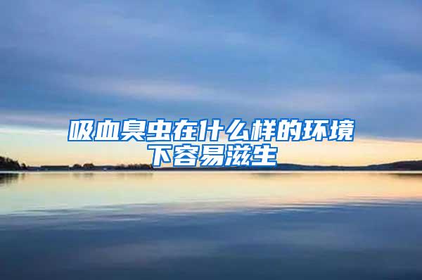 吸血臭虫在什么样的环境下容易滋生