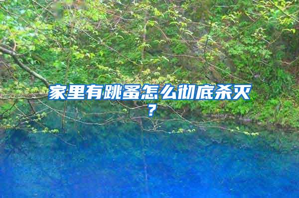 家里有跳蚤怎么彻底杀灭？