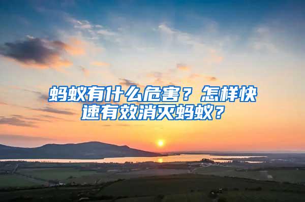 蚂蚁有什么危害？怎样快速有效消灭蚂蚁？