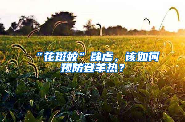 “花斑蚊”肆虐，该如何预防登革热？