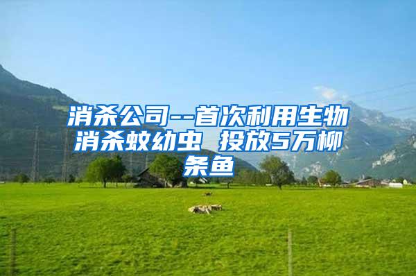 消杀公司--首次利用生物消杀蚊幼虫 投放5万柳条鱼