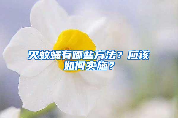 灭蚊蝇有哪些方法？应该如何实施？