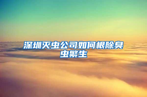 深圳灭虫公司如何根除臭虫繁生