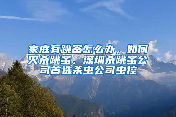 家庭有跳蚤怎么办，如何灭杀跳蚤，深圳杀跳蚤公司首选杀虫公司虫控