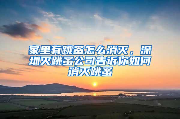 家里有跳蚤怎么消灭，深圳灭跳蚤公司告诉你如何消灭跳蚤