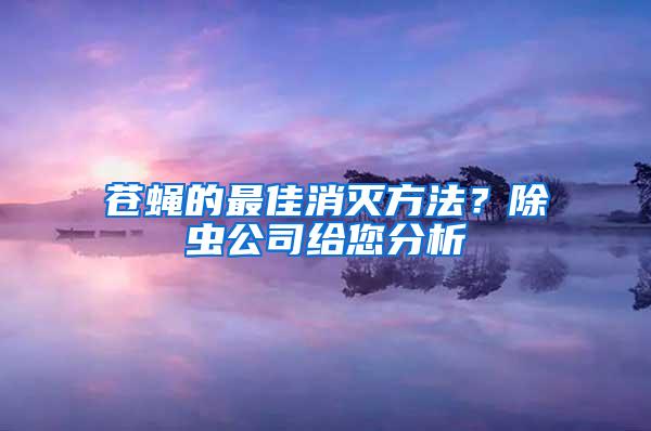 苍蝇的最佳消灭方法？除虫公司给您分析