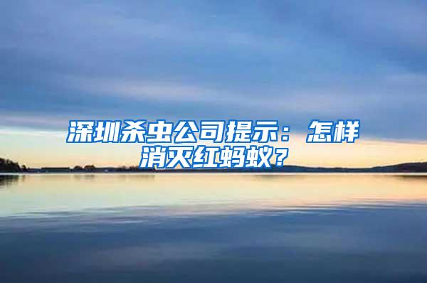 深圳杀虫公司提示：怎样消灭红蚂蚁？