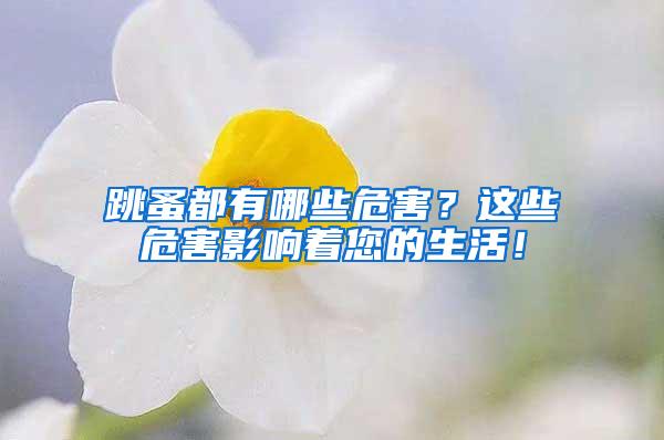 跳蚤都有哪些危害？这些危害影响着您的生活！