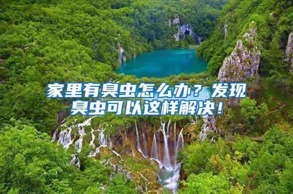 家里有臭虫怎么办？发现臭虫可以这样解决！
