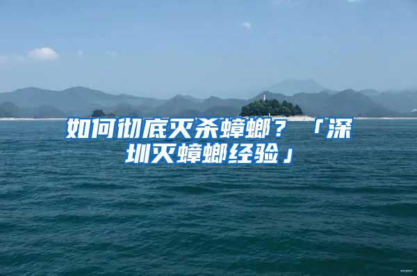 如何彻底灭杀蟑螂？「深圳灭蟑螂经验」