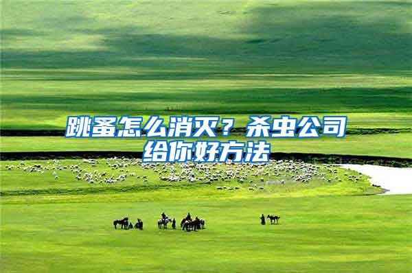 跳蚤怎么消灭？杀虫公司给你好方法