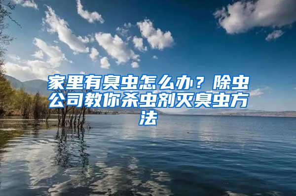 家里有臭虫怎么办？除虫公司教你杀虫剂灭臭虫方法