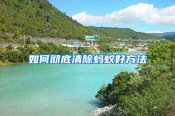 如何彻底清除蚂蚁好方法
